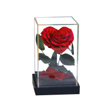 Rosa auténtica, belleza eterna: flores preservadas en un exquisito empaque, regalo único para bodas y el Día de la Madre (símbolo perdurable de