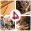 Carpenter Square MultiAngle Woodworking Protractor Ruler 22.590 Aluminum Alloy Precision Tool For Crafting 4
