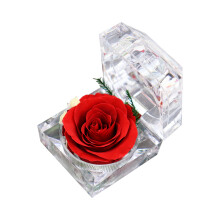 Echte natuurlijke roos, geconserveerde eeuwigheidsbloem, perfect cadeau voor Valentijnsdag, Kerstmis of een verjaardag. Vereist geen water of