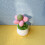 Interaction Catnips Potted Plant Toy For Kittens Chewing-Orange 7