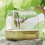 Parrots Shower Bathtubs High Volumes-Induction version co 5