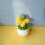 Interaction Catnips Potted Plant Toy For Kittens Chewing-Orange 5