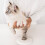 Pet Paws Print Set for Dog and Cats Includes Display-yellow 7