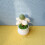 Interaction Catnips Potted Plant Toy For Kittens Chewing-Orange 6