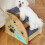 Multiuse Wooden Pet Stairs Small Dog Steps For Secure Safe-3 7