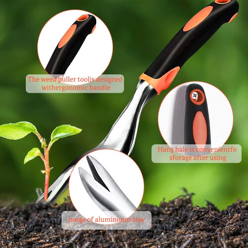 Βότανο Shavegrass, Κόψτε & Κοσκινίστε Βιολογικά, ο απόλυτος σύντροφος τσαγιού με βότανα 2