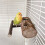 Compacts Bird Food Holder Wood Perches Bird Feeder Secure 7