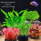 Multiuse Water Plant Growing Substrate Hydrophyte Pant Base-L 6