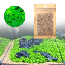 10g Easy Water Aquatic Live Grow Plants Seed for Aquarium Decoration