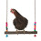 Bird Swing Perch Parrots Hanging Toy for Small Size-30CM long 7