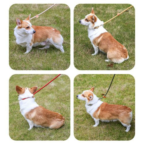 Long Pet Strong Training Leash Walking-Red 6MM by 1.8 meters 2