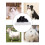 Reliable Animal Grooming Replacement Knives Suitable for 2