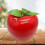 Realistic Artificial Apples Ornament Home Decoration Portable 7
