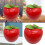 Realistic Artificial Apples for Kitchen Decoration Durable Faux 2
