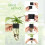 Modern Minimalists Aquariums Clip On Shelf for Hydroponic 7