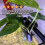 Modern Minimalists Aquariums Clip On Shelf for Hydroponic 6