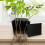 Modern Minimalists Aquariums Clip On Shelf for Hydroponic 4