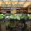 Modern Minimalists Aquariums Clip On Shelf for Hydroponic 5