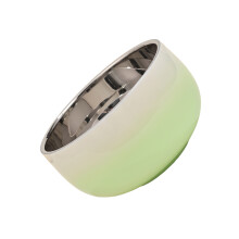 Durable 304 Stainless Steel Insulated Food Bowl for-Green