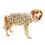 Delicate Pet Pullover Cartoon Fruit Print Dog Costume-4XL 2 1