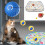 Interaction Cats Play Mat Motion Activated Balls-Set Two 2