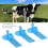 100pack Livestock Cattle Pig Earcon Flexible Earcon-Blue 6