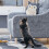 Functional Cats Climbing Pad Comfortable-Bee white 40 by 200 3