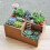 Eco-Friendly Natural Pine Wood Solid and Durable Construction, Creative Design Wooden Bin for Multifunctional Storage 8