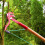 High Altitude Pruning, Multi Functions Including Orchard Fruit Picking And Small Pruning, Pulley Design For Saving Effort, Easy Installation With Bamb 2