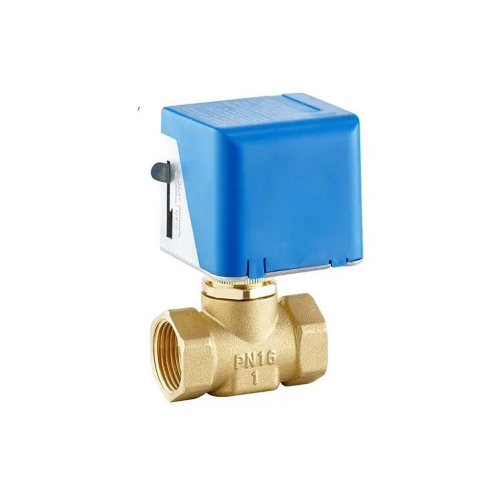 Brass Globe Valve 1Inch Twoway, 220V 2Wire, 110Vac Compatible 9067246075927