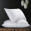 Hotel Cotton Pillow Insert Bedroom Pillow for Sleeping-45 4