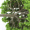 33pcs Mini Plastic Green Tree Models for Scenic Railways Garden Decor 2