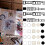 20 Sheets Aesthetic Decorative Stickers-Window to find flowe 2