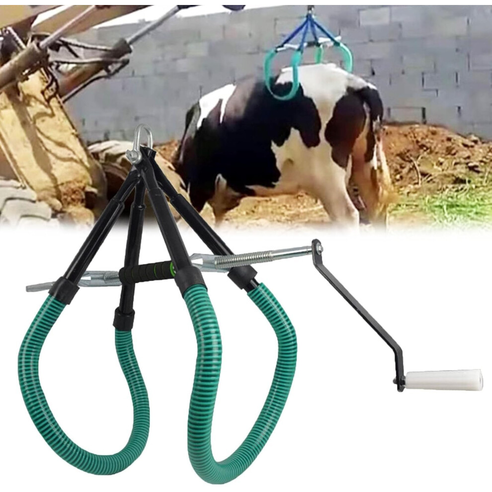 Cattle Lifter Stainless Steel Hip Clamp Stand Up Assist Tool For Cow Stand Up, Adjustable Spacing, Dairy Farm