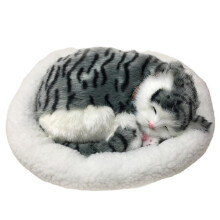 Bréagán Cat Tabby Liath Gan Sreang Iniompartha, Insamhladh Fuaimeanna Áille Cat, Cuireann sé Rannpháirtíocht agus Cruthaitheacht chun cinn
