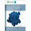 Successful Professional Reviews for Civil Engineering Technicians by P 1