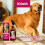 Dog Joint & Skin Care Drops 2