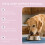 Dog Joint & Skin Care Drops 13