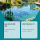 Aquaculture Microbial Powder for Water & Bottom Quality, Odor Control 4