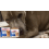 Dog Probiotic Soft Granules Intestinal Balance & Digestion 8