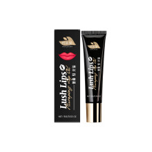 Nourishing Plumping Lip Oil for Moist, Smooth, Non-Sticky Lips