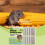 Mint-Moskito-Repellent-Set Indoor/Outdoor 2