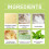 Mint-Moskito-Repellent-Set Indoor/Outdoor 10