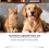 Dog Cat Liquid Probiotic Drops for Daily Comfort 4