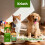 Dog Cat Liquid Probiotic Drops for Daily Comfort 9