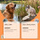 Vanilla Pet Toothpaste - Gentle Teeth & Mouth Care 3