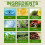 Herbal Energy Bars Boost Vitality Support Sleep Detox Body 8