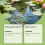 Pond Water Quality Care Powder Regulate Environment Clarify Odors 4