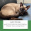 Cat Training Spray for Play & Interaction 4