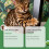 Cat Training Spray for Play & Interaction 3